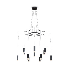 Подвесная люстра Maytoni Davida MOD035PL-12B