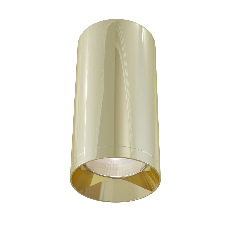 Потолочный светильник Focus C010CL-01G