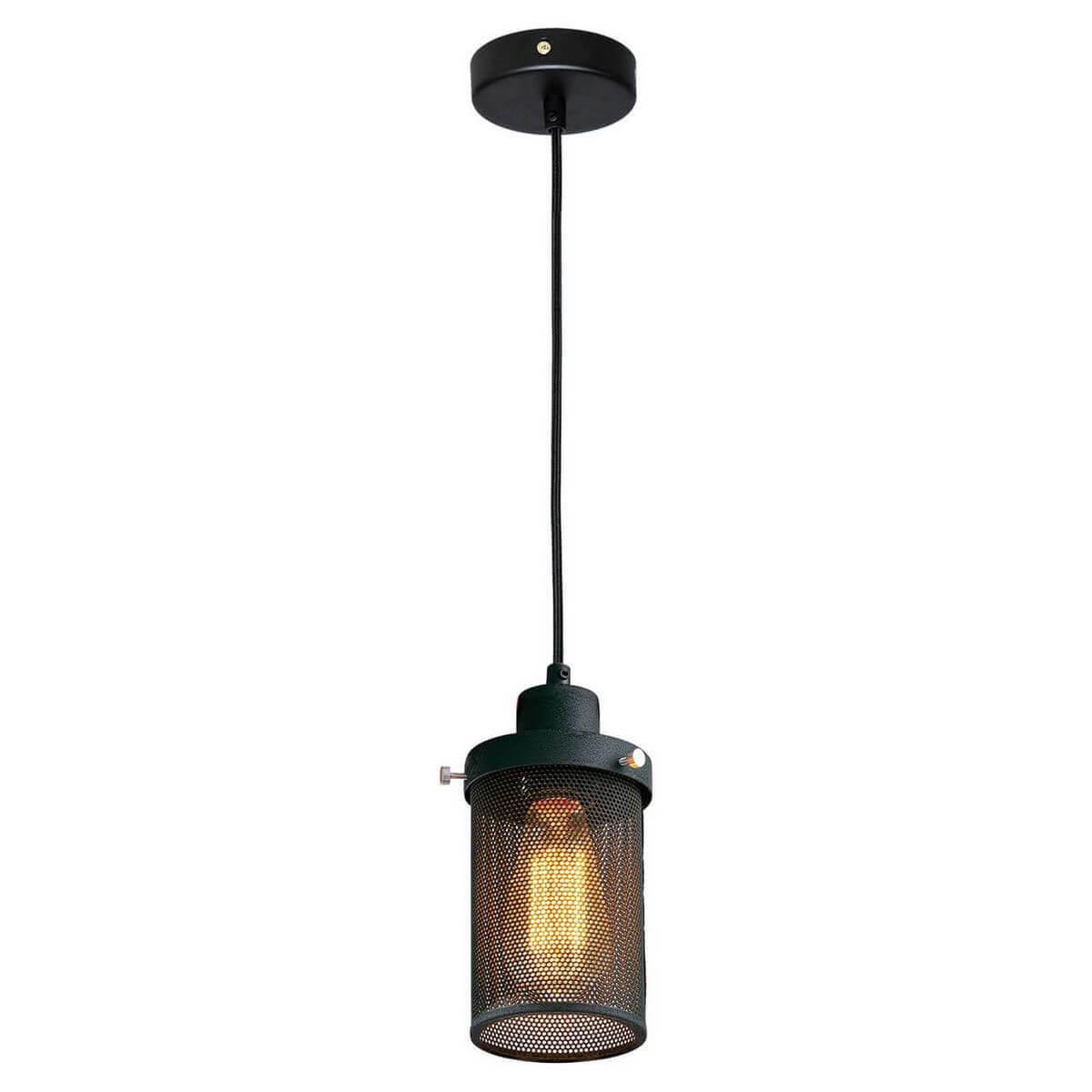 Подвесной светильник Lussole Loft LSP-9672 блюдо для подачи флора чёрный лофт плюс 31 см