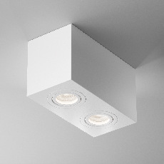 Потолочный светильник Atom GU10 2x50Вт C017CL-02W