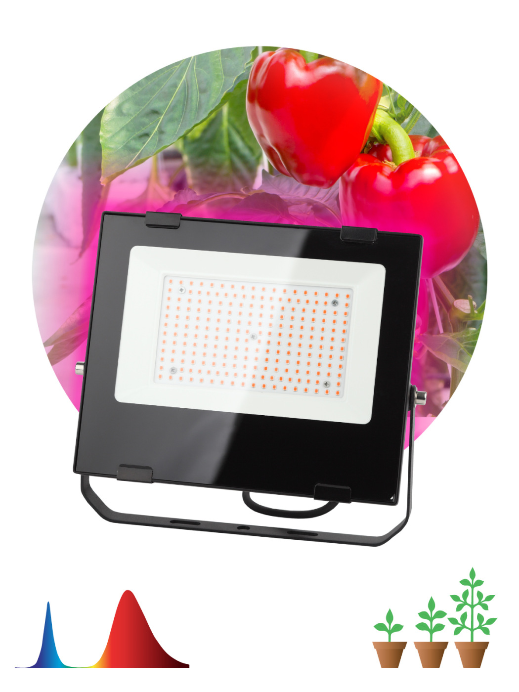 Фитопрожектор для растений светодиодный ЭРА FITO-100W-RB-LED для цветения и плодоношения красно-синего спектра 100 Вт прожектор светодиодный для растений эра fito 100 вт полный спектр нейтральный белый свет