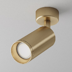 Потолочный светильник Focus C017CW-01MG