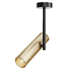 Потолочный светильник Elti C020CL-01GB