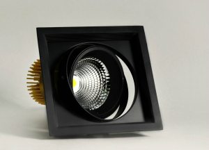 Карданный светодиодный светильник 220 Вольт, 32 Ватт, 12/24/38/60, IP20, FLED-DL 002-32-BL-5000К