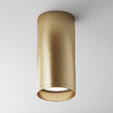 Потолочный светильник Focus C010CL-01MG