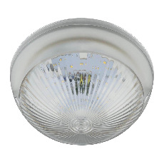 Уличный светодиодный светильник Uniel ULW-R05 12W/NW IP64 White UL-00002105