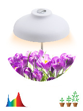 Светильник для растений ЭРА FITO-12W-FLED штыковой полного спектра 12 Вт