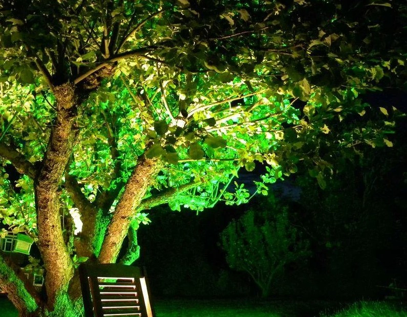 Подсветка деревьев изнутри кроны
