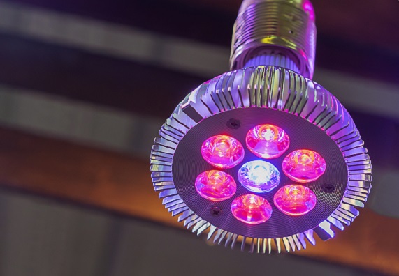 Светодиодные лампы для рассады - как выбрать?