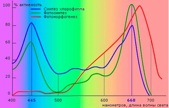 Спектр излучения фитоламп