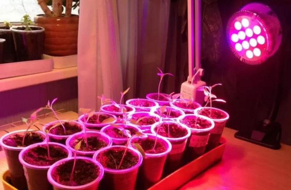 Точечный светильник для растений