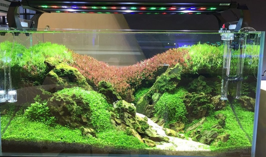 Освещение аквариумов