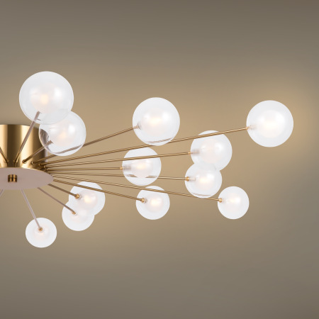 Потолочный светильник Freya FR5242CL-24BS1