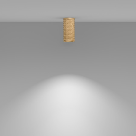 Потолочный светильник Focus Design C036CL-01G