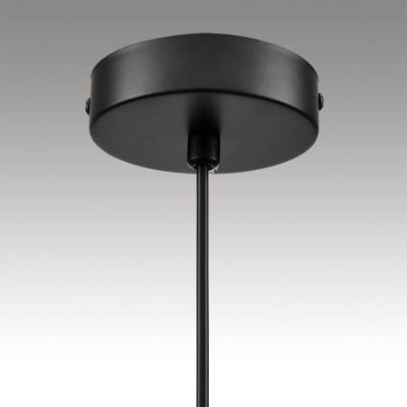 8232/1 COMFI LN25 черный/прозрачный, металл/стекло Подвес LED GX70 1*10W 220V NATALINA