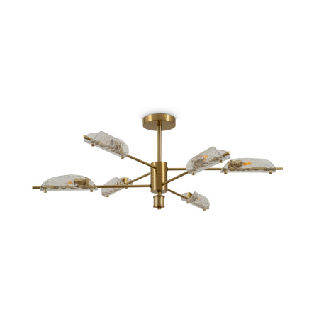 Потолочный светильник Baret, FR5420CL-06BS