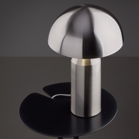 Настольный светильник Freya FR5218TL-02N