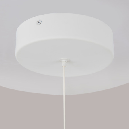 Подвесной светильник Ray 1x10Вт 3000K, P021PL-L10W