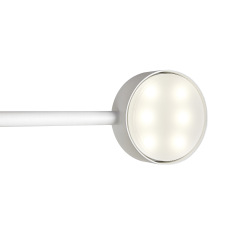 Настенный светильник (бра) Freya FR5363WL-01W2