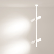 Потолочный светильник Elti C021CL-02W