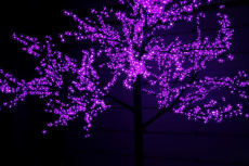 CBL-3.6-2688 Purple LED вишня H3,6m D3,0м фиолетовое