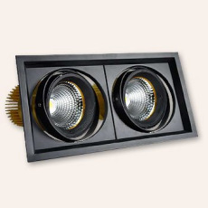 Карданный светодиодный светильник 220 Вольт, 50 Ватт, 12/24/38/60, IP20, FLED-DL 002-25x2-BL-5000К