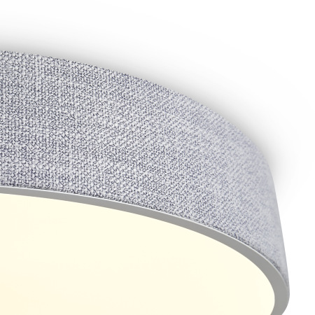 Потолочный светильник Ruler FR5555CL-L30BGG