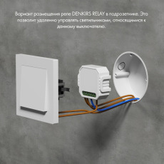 Wi-Fi реле Denkirs RL1001-SM/1
