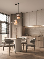 Подвесной светильник Fly, FR5489PL-01GT