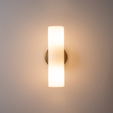 Настенный светильник (бра) Fiore, FR5368WL-02BS