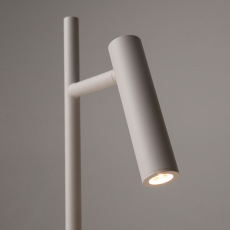 Торшер Maytoni Estudo Z010FL-L8W3K