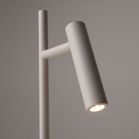 Торшер Maytoni Estudo Z010FL-L8W3K