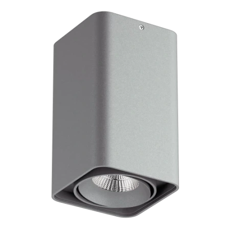 Светильник точечный накладной декоративный под заменяемые галогенные или LED лампы Monocco 212539