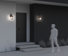 Настенный светильник (бра) Salamanca O031WL-01BR