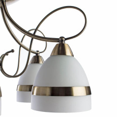 Потолочная люстра Arte Lamp 55 A6192PL-5AB