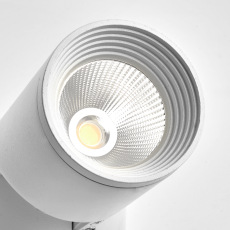 Светильник светодиодный 10W, 800Lm, 30 градусов, белый, наклонный, AL517