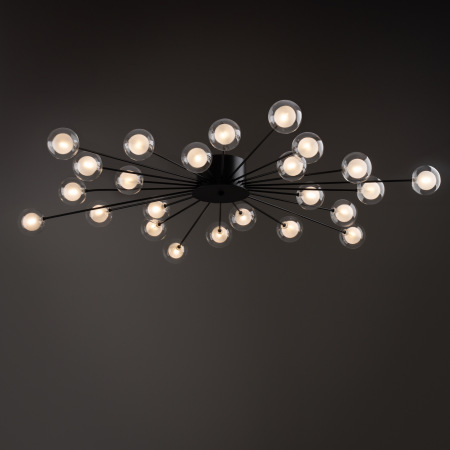 Потолочный светильник Freya FR5242CL-24B1