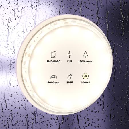 Светодиодная лента 12В 5050 14,4Вт/м 4000K 5м IP65, 10132