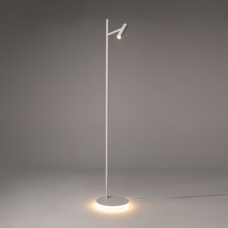 Торшер Maytoni Estudo Z010FL-L8W3K