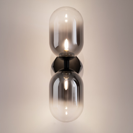 Настенный светильник (бра) Tesse, FR1011WL-02B