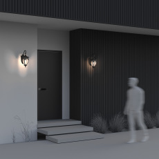 Настенный светильник (бра) Fleur E27х1 60Вт IP 44, O414WL-01BZ