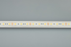 Светодиодная лента герметичная RTW-PFS-B60-13mm 12V Warm3000 (14.4 W/m, IP68, 5060, 5m) (Arlight, -)