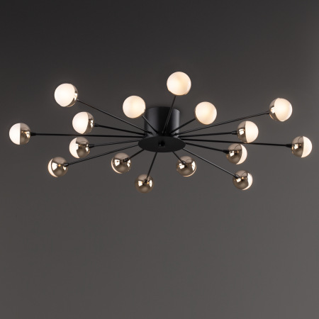 Потолочный светильник Freya FR5242CL-16B