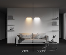 Светильник Points для штанговой системы освещения Axity 3000-6000К 12Вт 36°, C101CL-L500-12W3-6K-BS