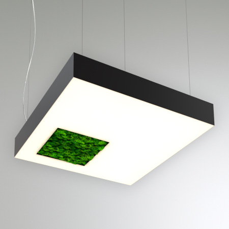 RVE-LBX-MOSS-CUBO-S-650 Квадрат со смещённым отверстием со мхом 650x650x100мм
