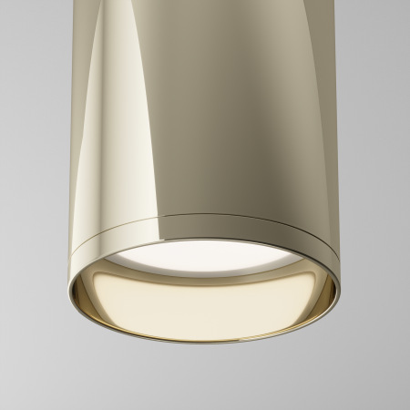 Потолочный светильник Focus C010CL-01G