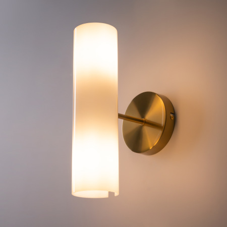 Настенный светильник (бра) Fiore, FR5368WL-02BS