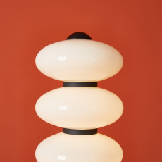 Напольный светильник (торшер) Aqua FR5553FL-L20B