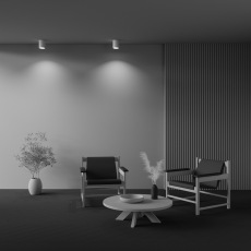 Потолочный светильник Conik gyps C001CW-01W