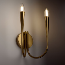 Настенный светильник (бра) Freya FR5253WL-02BS